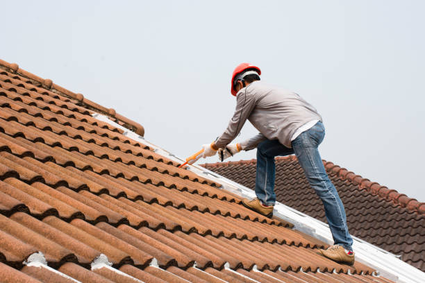 Best Storm Damage Roof Repair  in Stroudsburg, PA